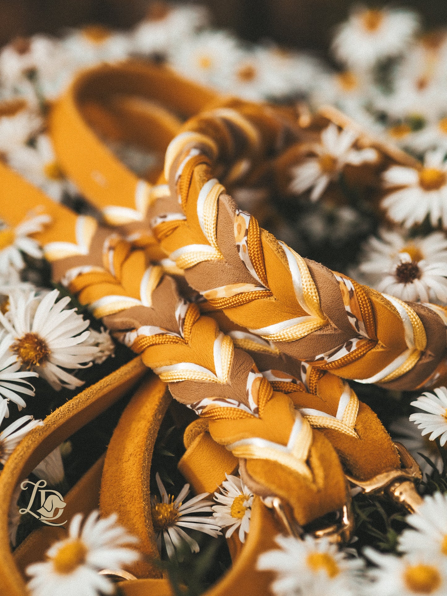 Buttercup Leine Gelb