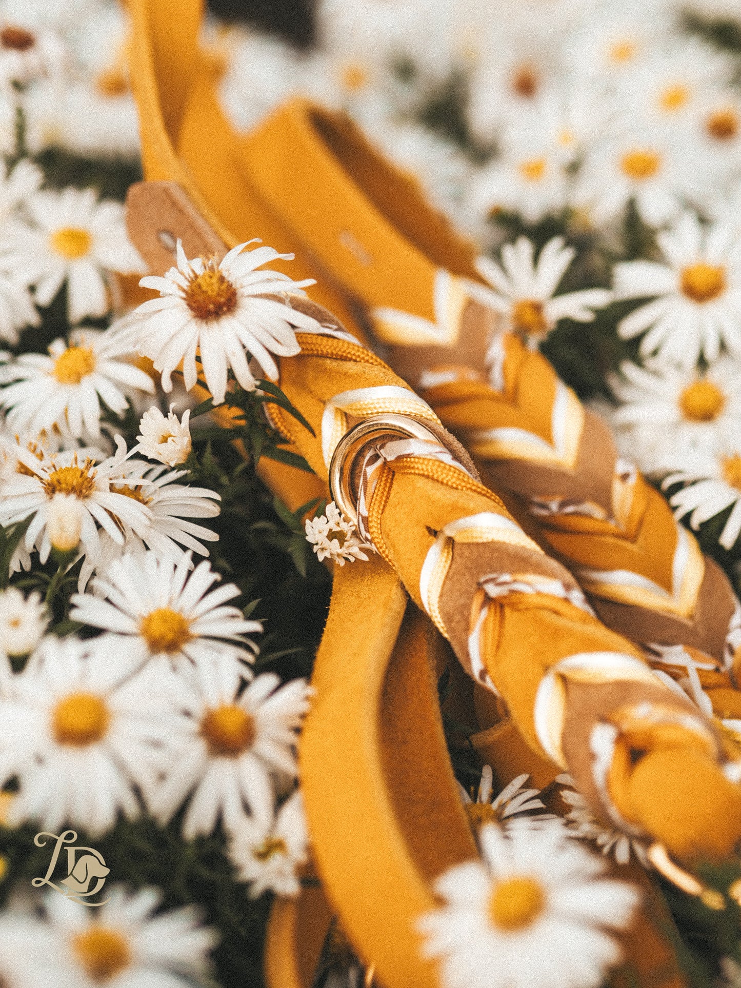 Buttercup Leine Gelb