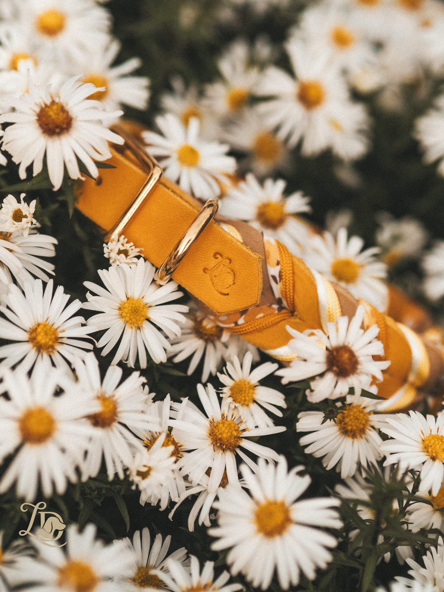 Buttercup Halsband Gelb