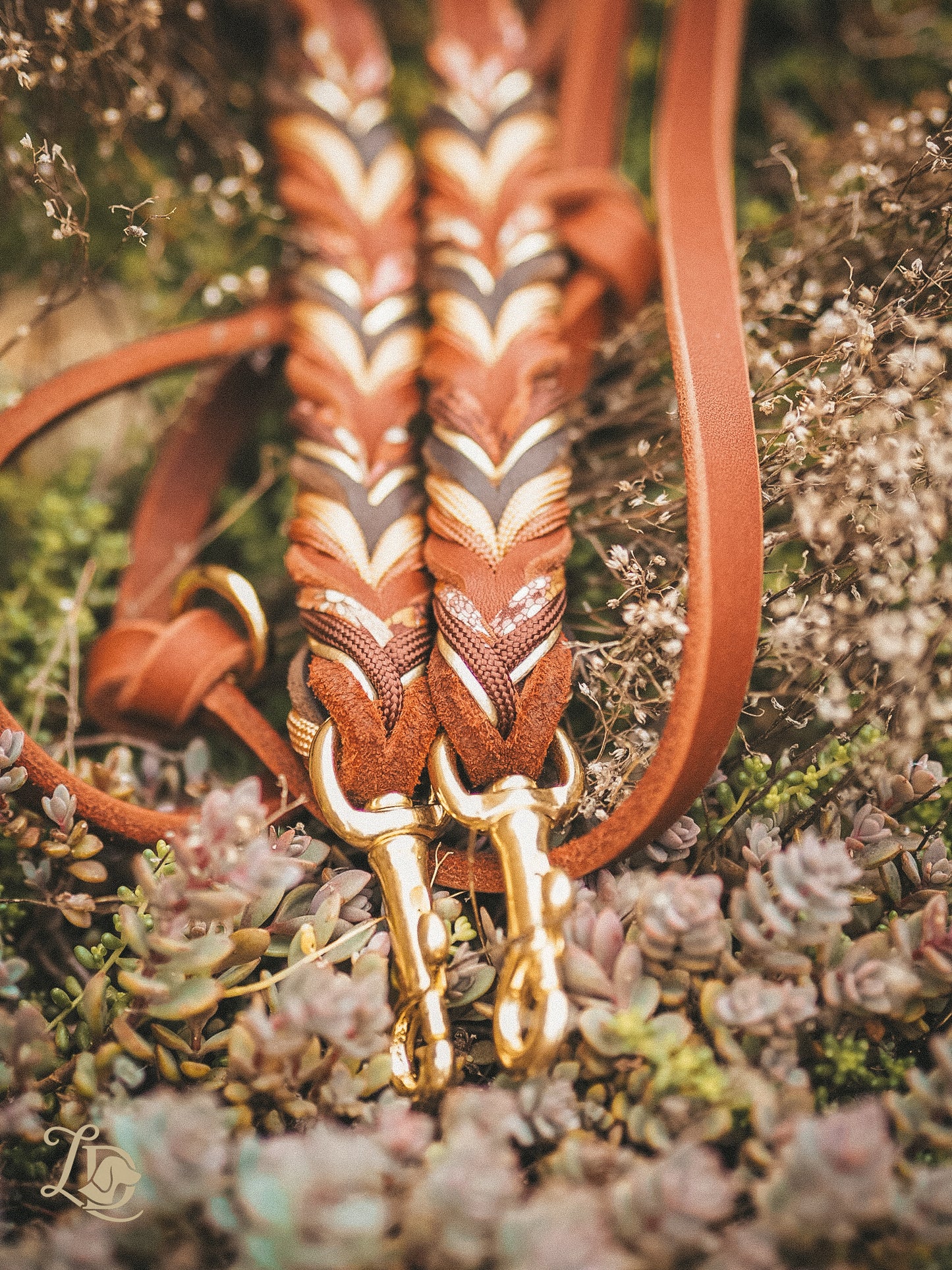 Chrysanthemum Leine Rostrot