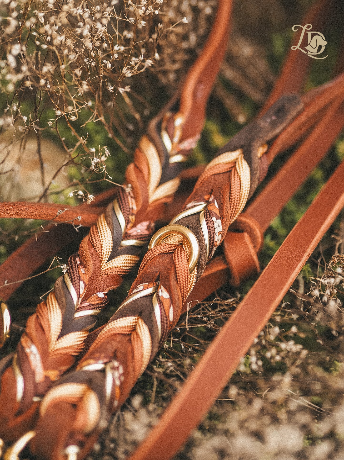 Chrysanthemum Leine Rostrot
