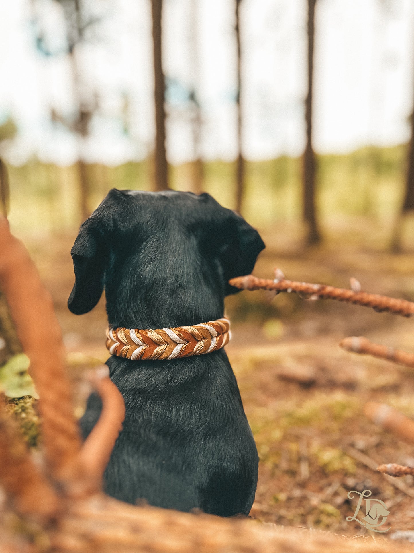 Autumn Harvest Halsband