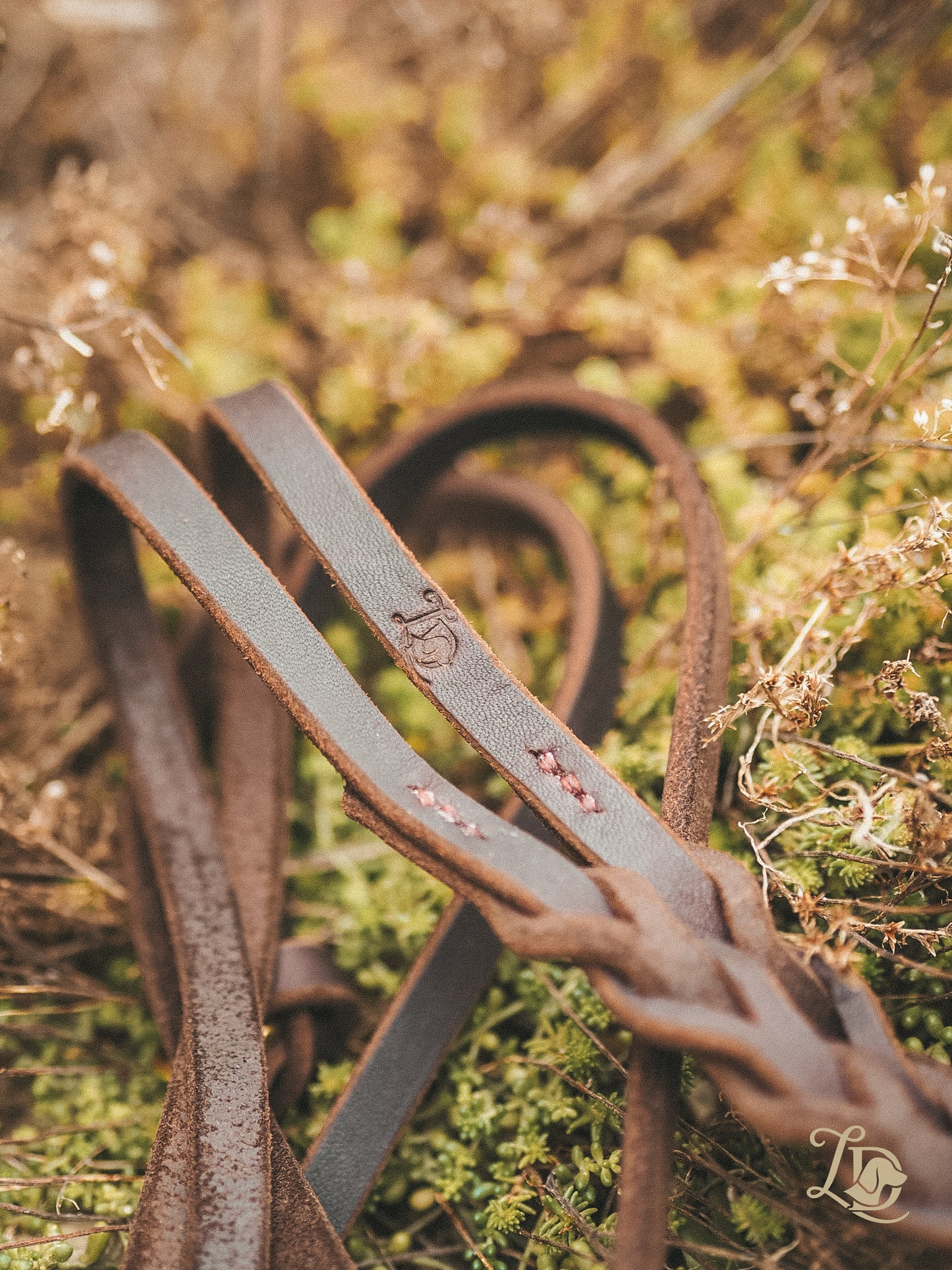 Sofortkauf Leine Basic Chocolate 2,40m (bis max. 10kg)