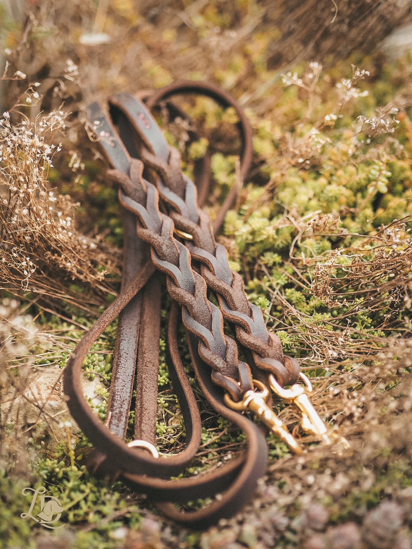 Sofortkauf Leine Basic Chocolate 2,40m (bis max. 10kg)