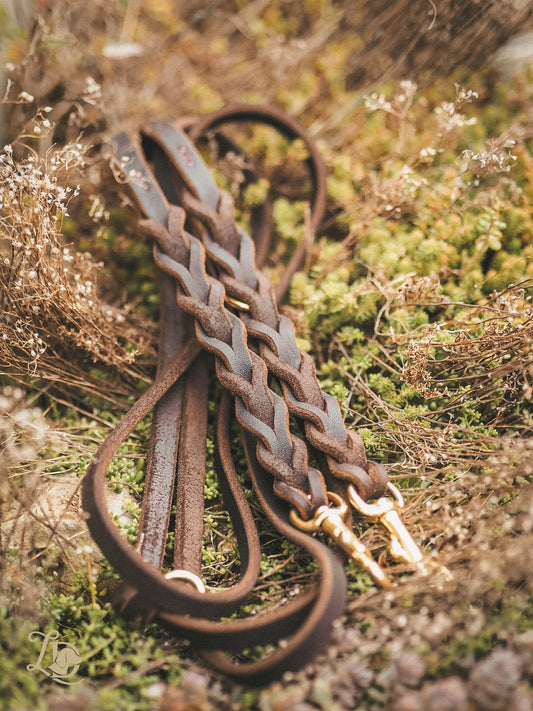 Sofortkauf Leine Basic Chocolate 2,40m (bis max. 10kg)