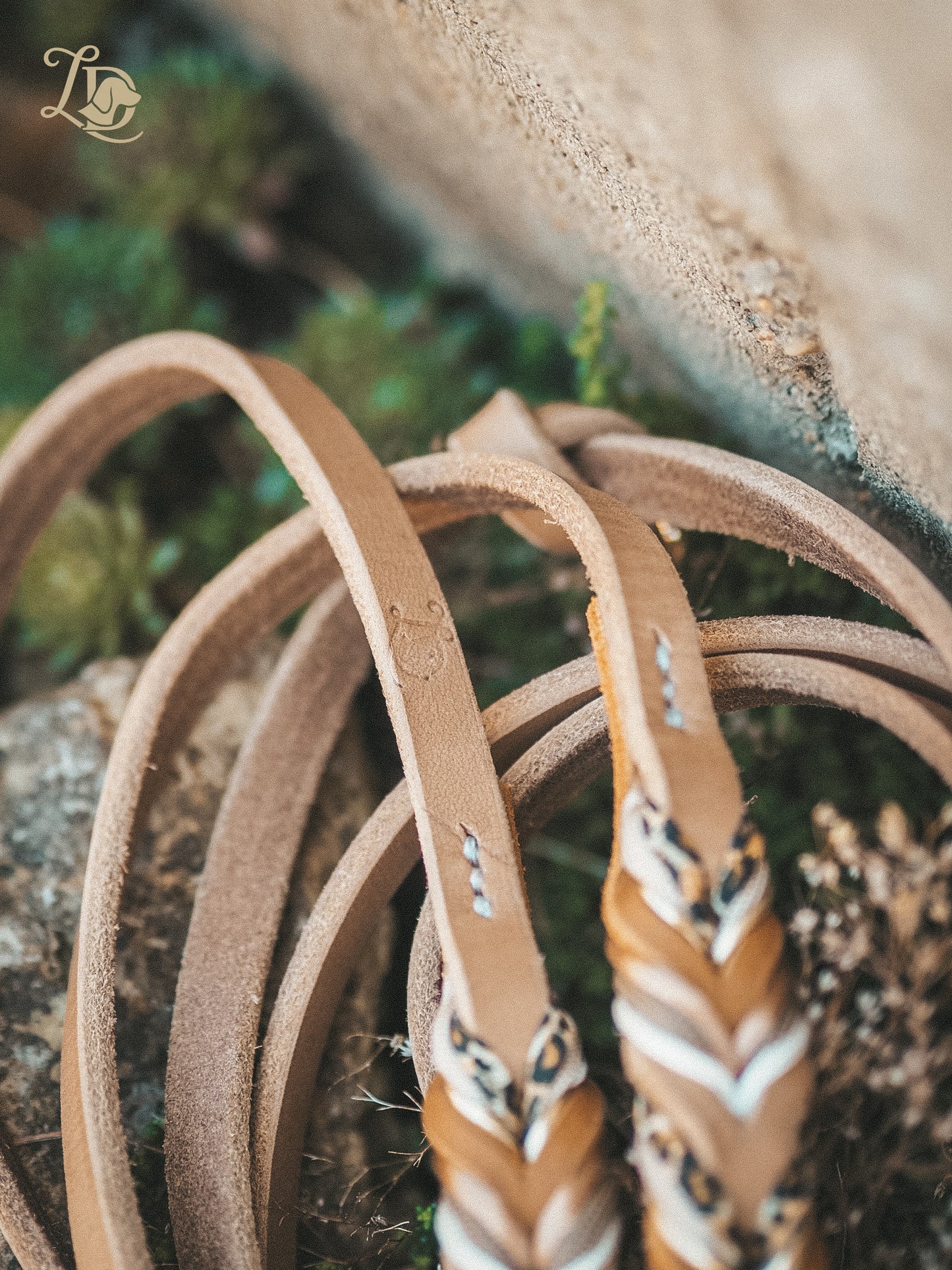 Leo Leine Cognac Special