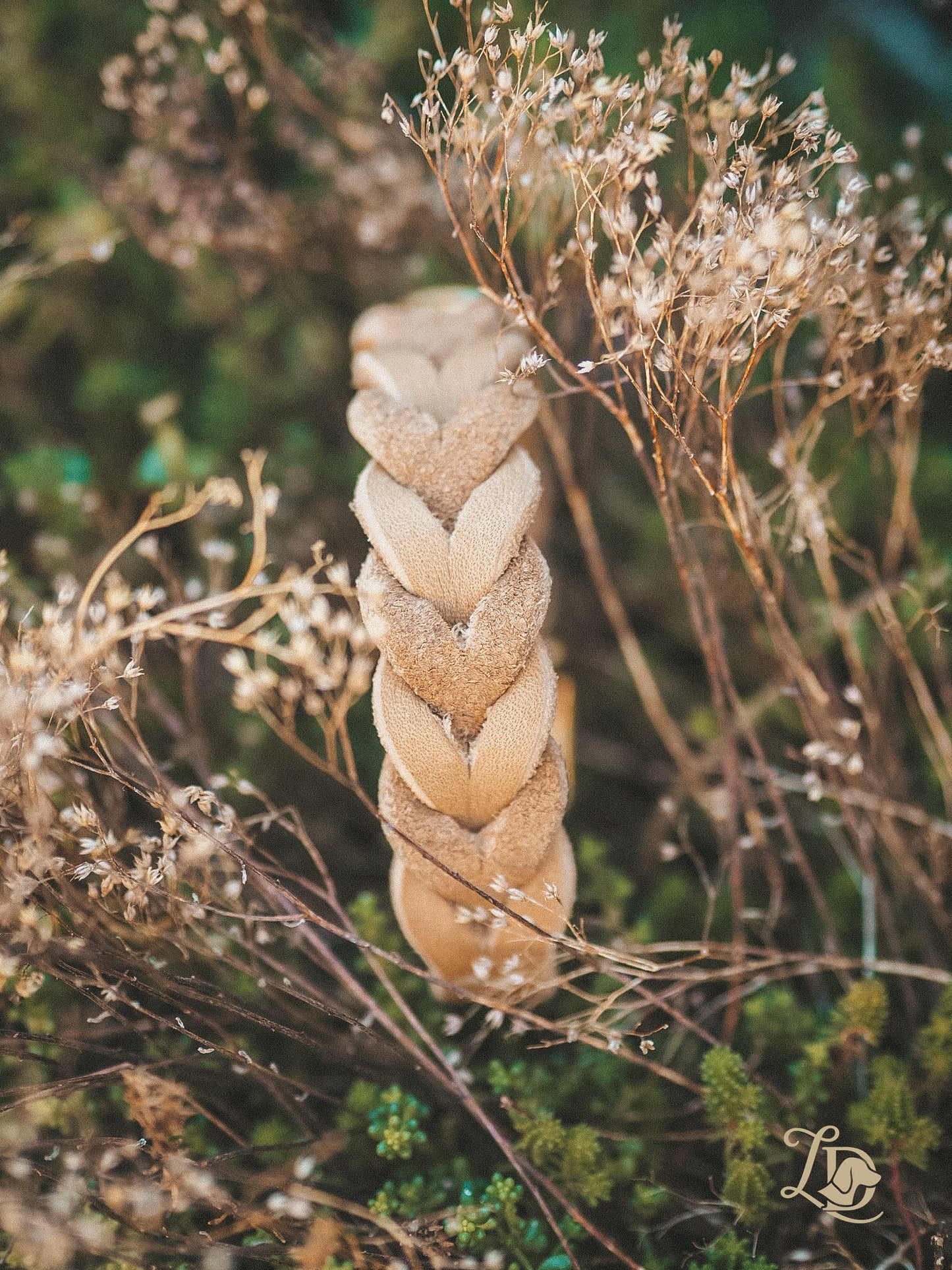 Blank Camel Halsband
