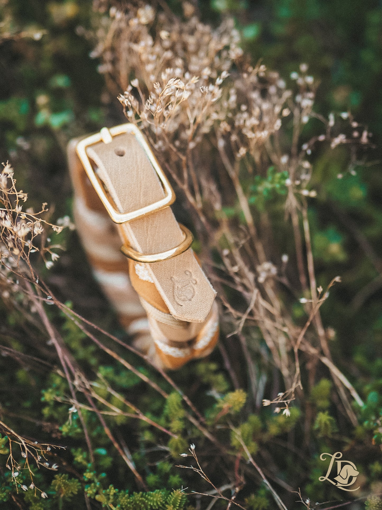 Golden Hour Halsband