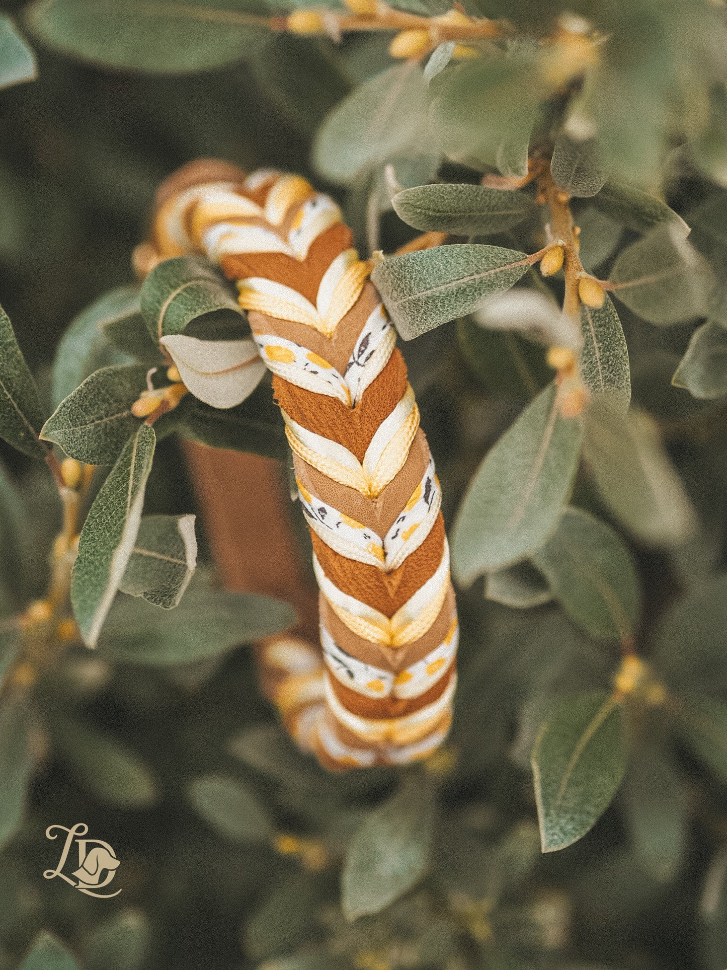 Citrus Halsband Cognac