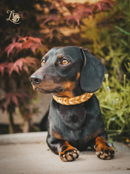 Golden Hour Halsband