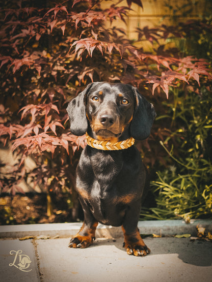 Golden Hour Halsband
