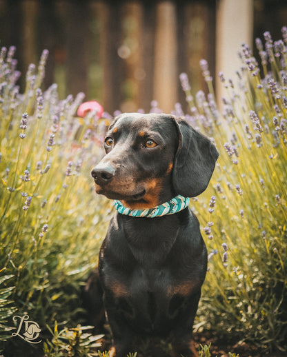 Forget-me-not Halsband Blau