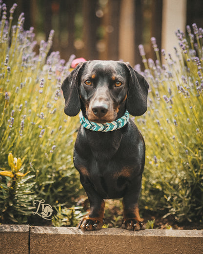 Forget-me-not Halsband Blau