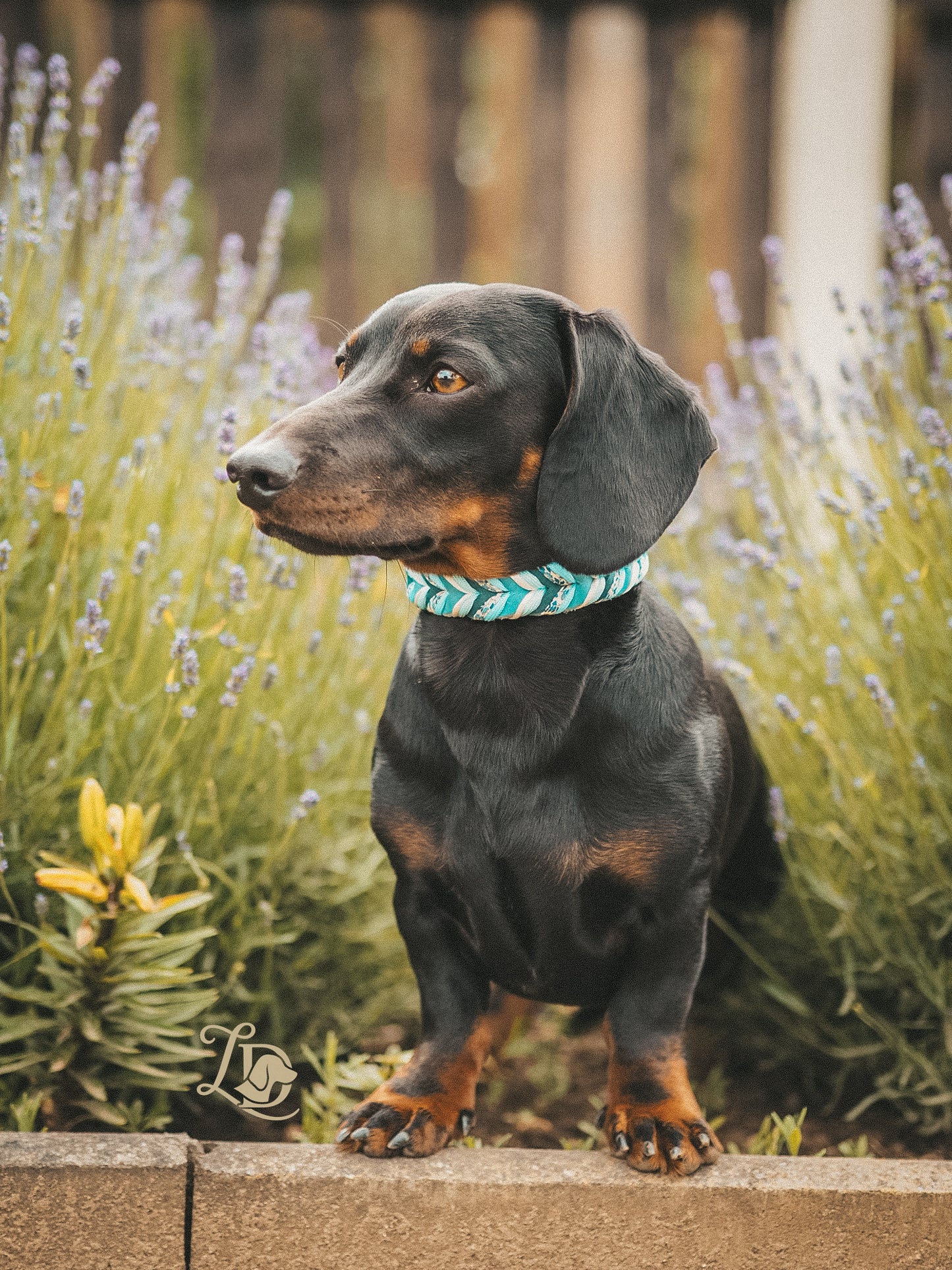 Forget-me-not Halsband Blau