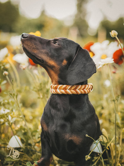 Autumn Harvest Halsband
