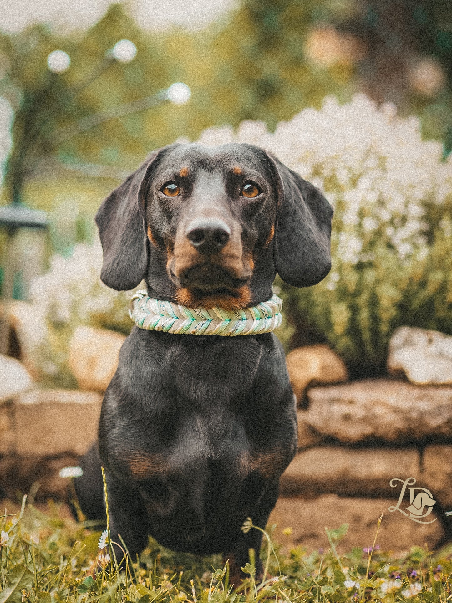 Hydrangea Halsband Mint