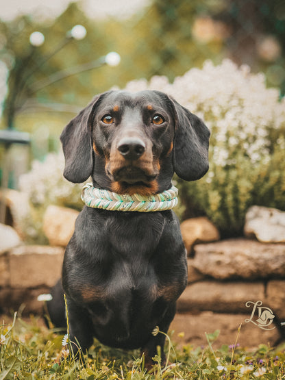Hydrangea Halsband Mint