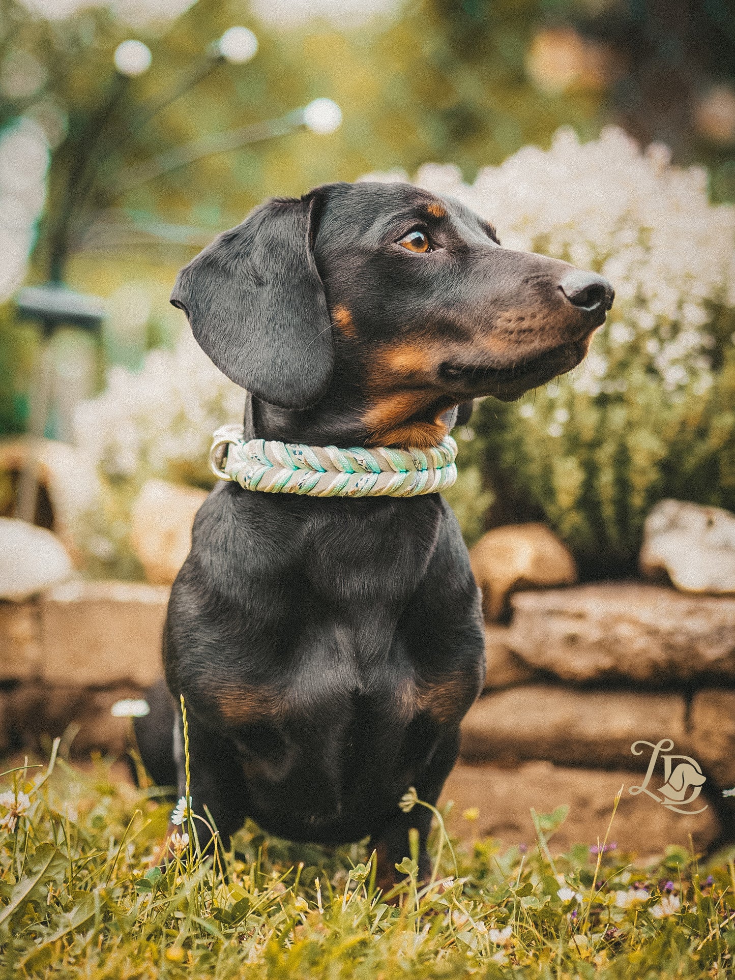 Hydrangea Halsband Mint