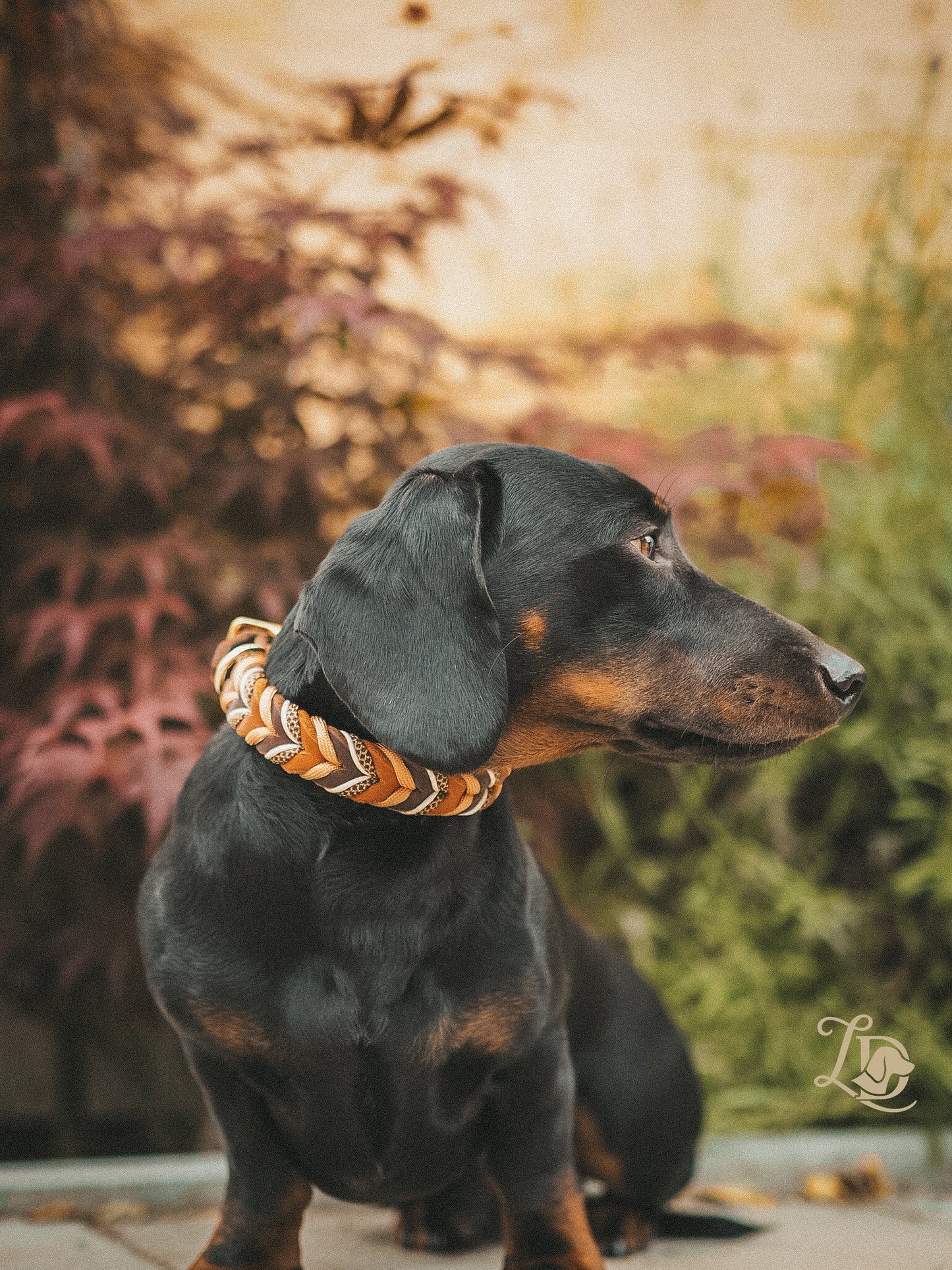 Misty Whiskey Halsband