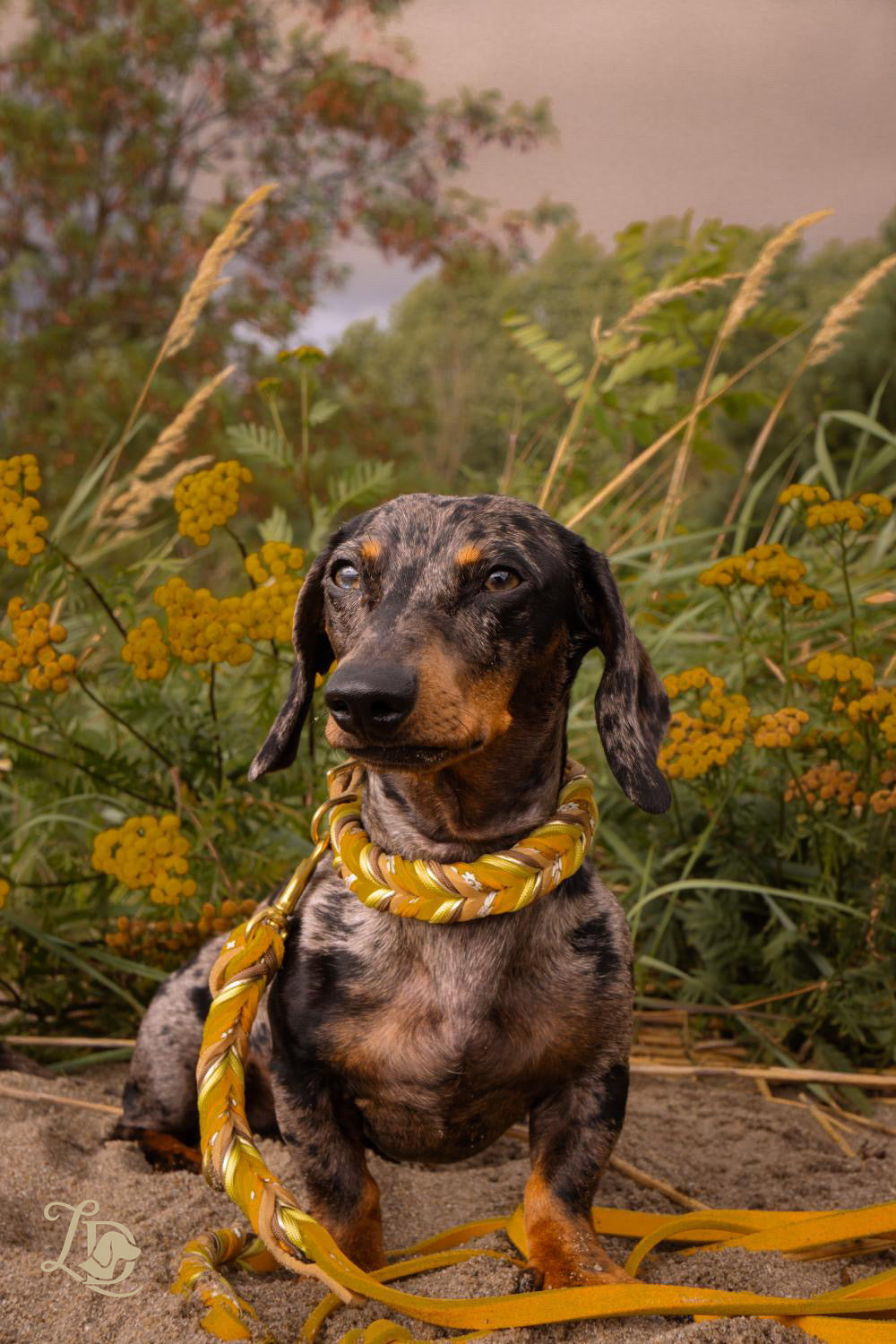 Sunflower Halsband Ocker