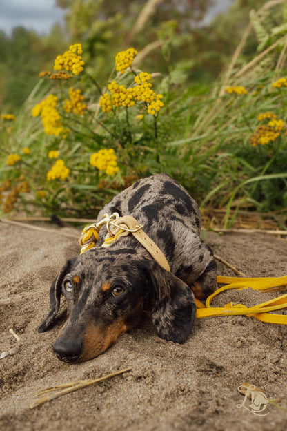 Sunflower Halsband Ocker