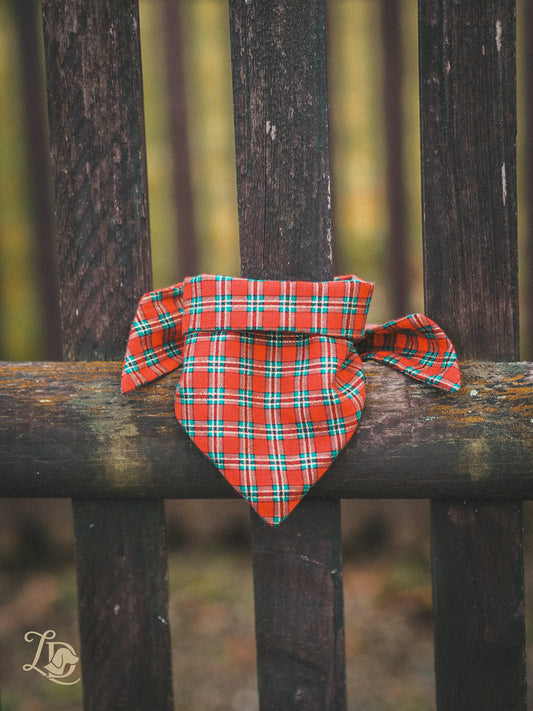 Santa Daxmas Halstuch