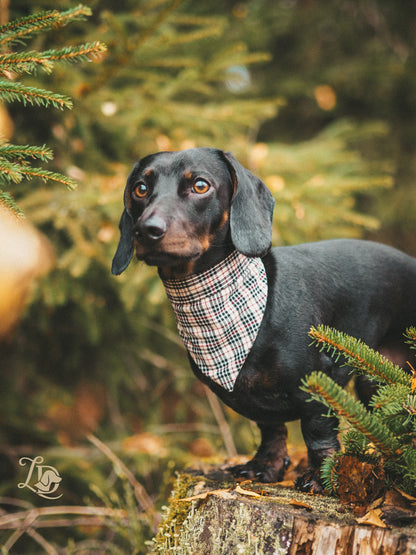 Tartan Beige Halstuch