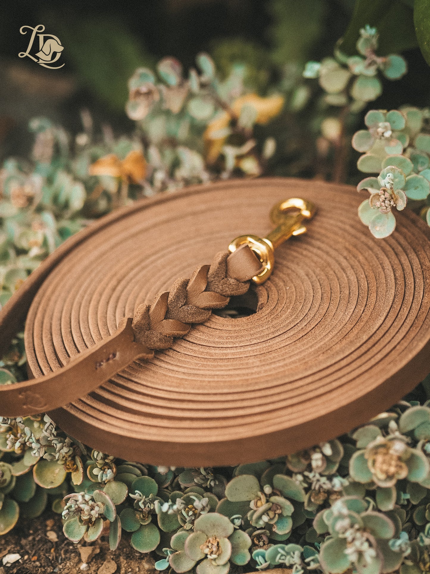 Individuelle Trailleine Basic