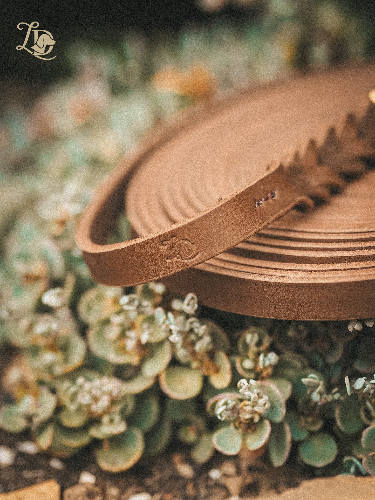 Individuelle Trailleine Basic