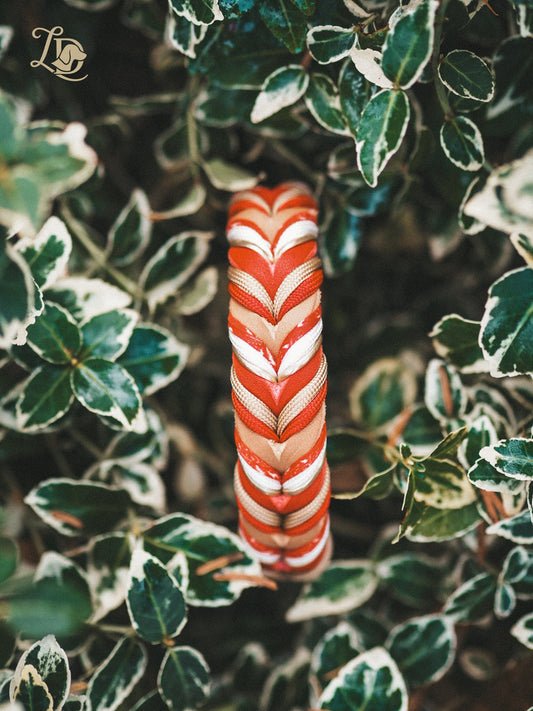 Daxmas Wonder Halsband