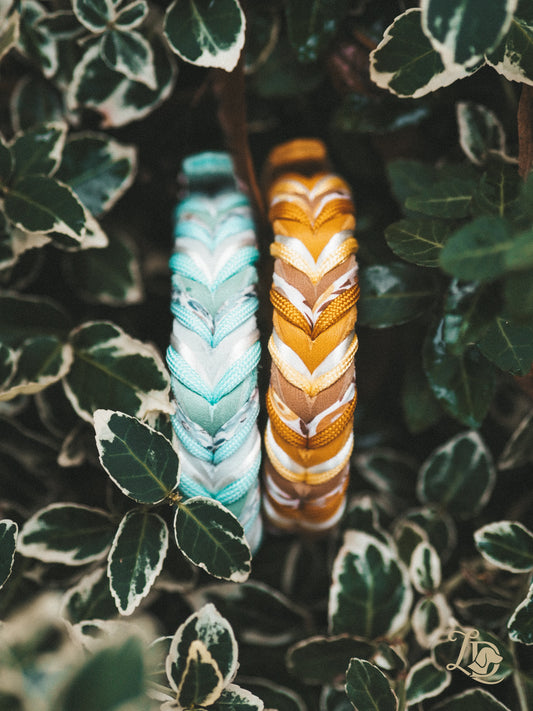 Individuelles Welpenhalsband