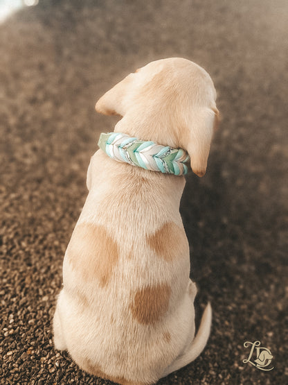 Individuelles Welpenhalsband (Zwergdackel)