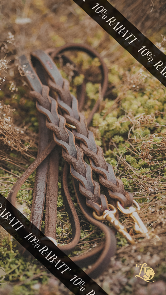 Sofortkauf Leine Basic Chocolate 2,40m (bis max. 10kg)