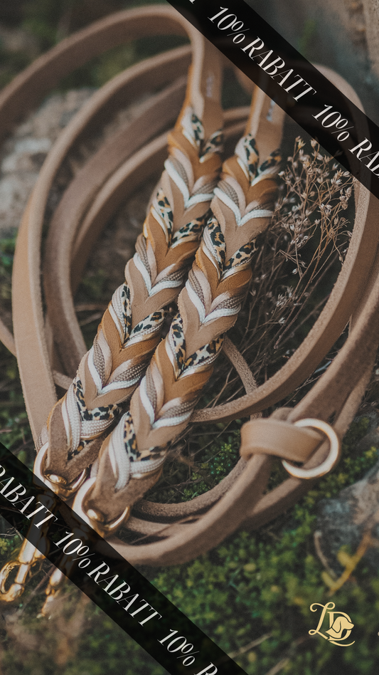 Sofortkauf Leine Leo Cognac Special 2,40m (bis max. 7kg)